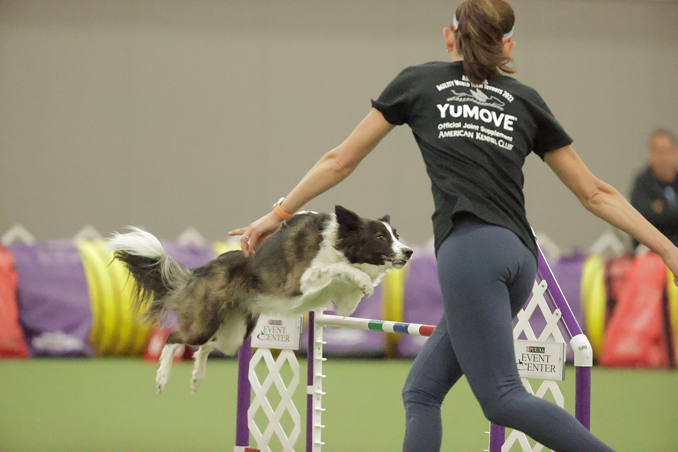 2022 World Team Tryouts Purina Farms Events AKC National Events