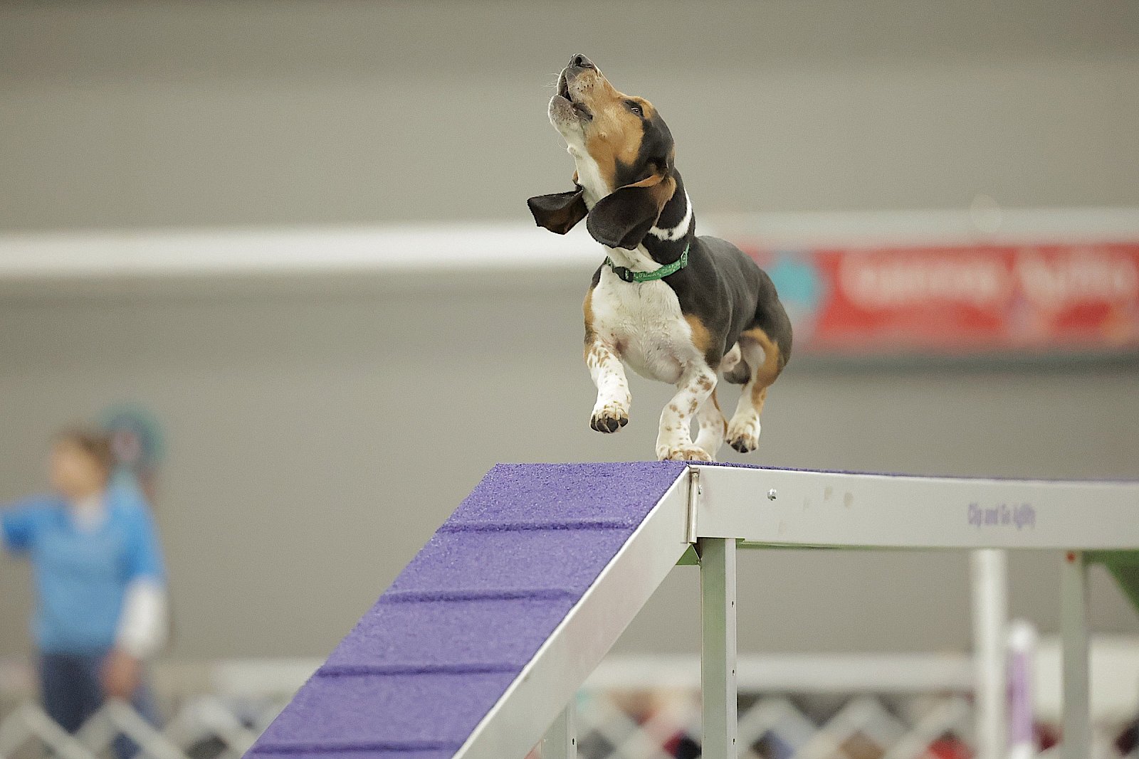 2024 Gateway Agility Club trial Purina Farms Events AKC Events