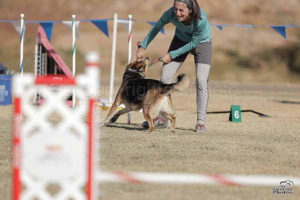 2022 Cynosport World Games - Scottsdale, AZ - dog names H - Q - dog names K  - L - Events - USDAA - National Events 