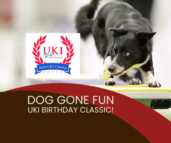 Dog Gone Fun Classic