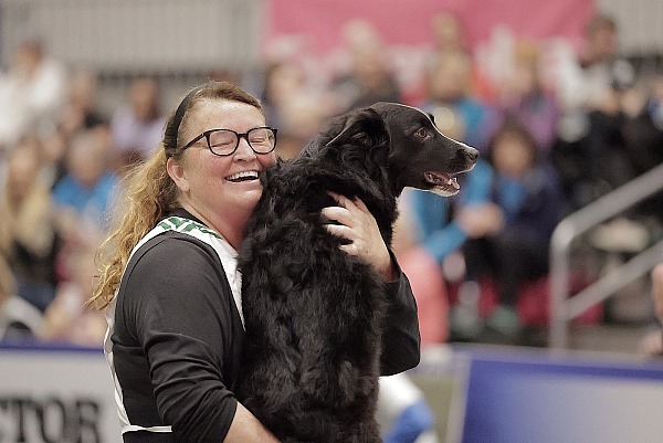 2024 AKC Agility Invitational