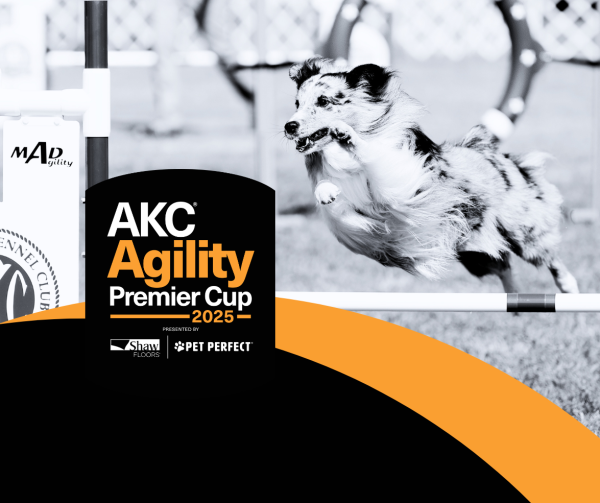 2025 AKC Agility Premier Cup