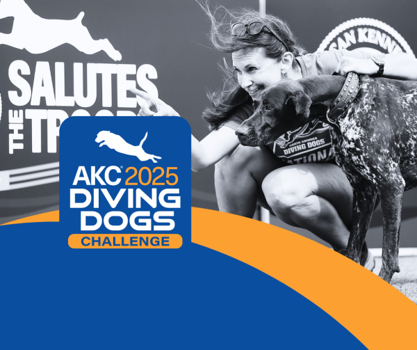 2025 AKC Diving Dogs Challenge