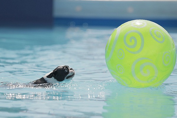 Galway Downs Qualifier - Temecula, CA